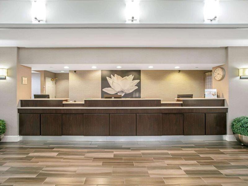 La Quinta By Wyndham Dfw Airport South / Irving Hotel Bagian luar foto